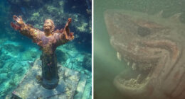 71 Unexpected Ocean Photos That Might Freak You Out