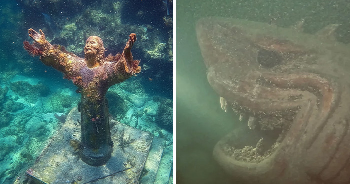 71 Unexpected Ocean Photos That Might Freak You Out