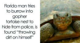 87 Unhinged News Headlines That Can Only Happen In America