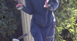 Actress Anne-Marie Johnson posted a series of signs in front of her LA home on Monday taking aim at Immigration and Customs Enforcement (ICE) agents