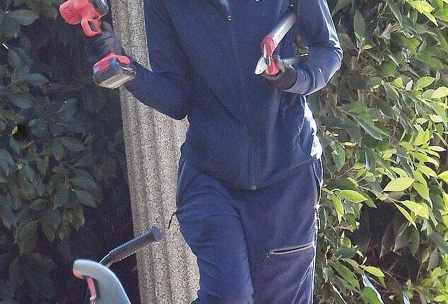 Actress Anne-Marie Johnson posted a series of signs in front of her LA home on Monday taking aim at Immigration and Customs Enforcement (ICE) agents