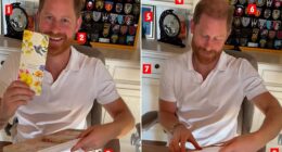 Pictured: 1. A painting of two pandas, 2. Prince Harry's military badges, 3. An ergonomic office chair, 4. Poster featuring the word 'Papa', 5. Miscellaneous artwork, 6. Harry's military badges, 7. White furniture, 8. Brown desk