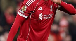 Jermaine Pennant said this week that Virgil van Dijk, pictured, is the best Premier League defender in history