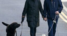 Ant McPartlin and his wife Anne-Marie Corbett walking Hurley and their two maltipoos