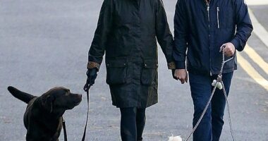 Ant McPartlin and his wife Anne-Marie Corbett walking Hurley and their two maltipoos
