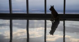 AOC Weighs In – HotAir