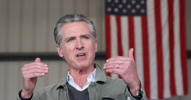 California Governor Gavin Newsom speaks to reporters during a press conference