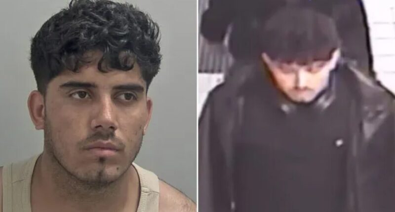 Afghan Convicted for Kidnap and Repeated Rape of 12-Year-Old.