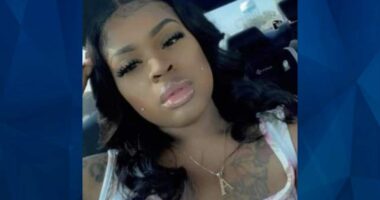 Alexis Ware: Mom of 2 Still Missing 4 Years After She Vanished From Gas Station