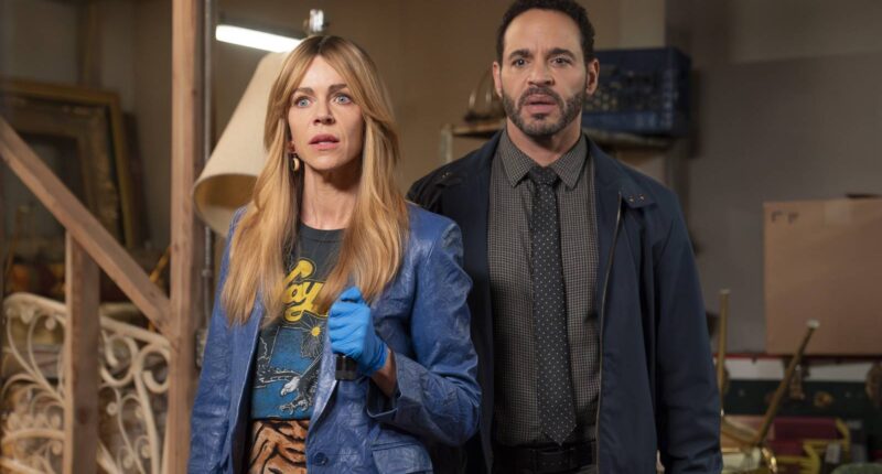 All High Potential Fans Must Binge This Excellent 3-Part Crime Series On Hulu