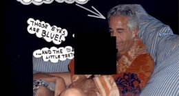 An image of Jeffrey Epstein released in the Department of Justice files