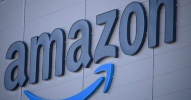 Amazon’s stock just entered a bear market. This ‘Magnificent Seven’ name could be next.