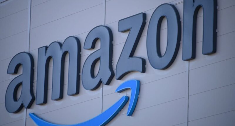 Amazon’s stock just entered a bear market. This ‘Magnificent Seven’ name could be next.