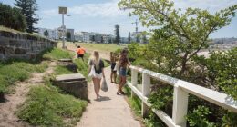 American Brandon Borror-Chappell, has poked fun at the uniquely Australian ways of telling someone off in a video that has divided his comments section