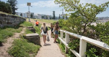 American Brandon Borror-Chappell, has poked fun at the uniquely Australian ways of telling someone off in a video that has divided his comments section