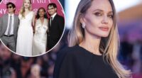 Angelina Jolie preparing to ditch US in July, says ‘I don’t recognize my country’
