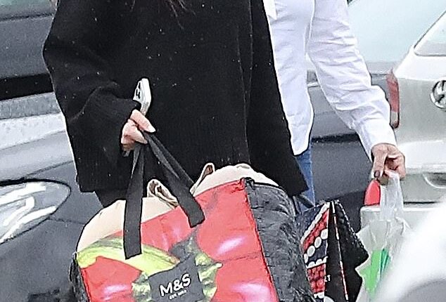 Kyle Walker's wife Annie Kilner (pictured in January) is expecting her fifth baby with the former England star