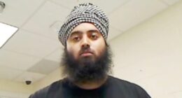 Another Illegal Immigrant Truck Driver Causes Deadly Crash.