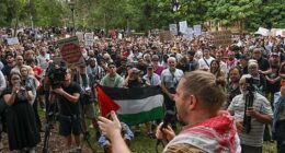 A second night of protests in Sydney saw hundreds of pro-Palestine supporters turn out
