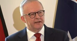 Albanese (pictured) compared the Liberals and Nationals to Married at First Sight couples