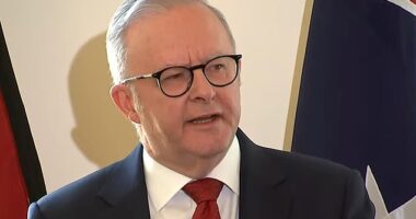 Albanese (pictured) compared the Liberals and Nationals to Married at First Sight couples