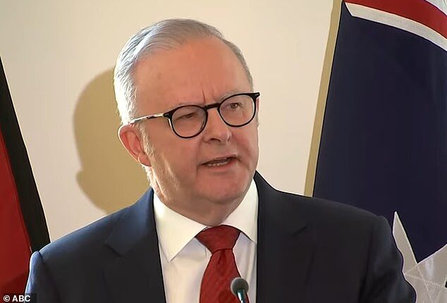 Albanese (pictured) compared the Liberals and Nationals to Married at First Sight couples