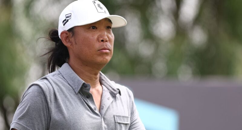 Celebrity Net Worth logo