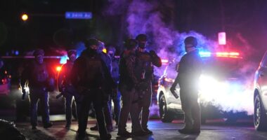 Anti-ICE Antics, Police Pushback, and Panic in Politics