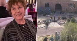 Apparent blood trail seen outside Savannah Guthrie's mom's home in disturbing new video