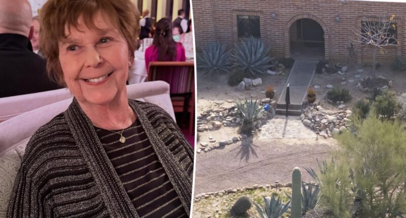 Apparent blood trail seen outside Savannah Guthrie's mom's home in disturbing new video