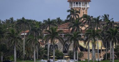 Pictured: Donald Trump's Mar-a-Lago estate in Palm Beach, Florida