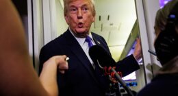 President Donald Trump was asked on board Air Force One Monday night about the 'close personal relationship' between DHS Secretary Kristi Noem and Corey Lewandowski. Here he talks to reporters on the presidential aircraft of February 6