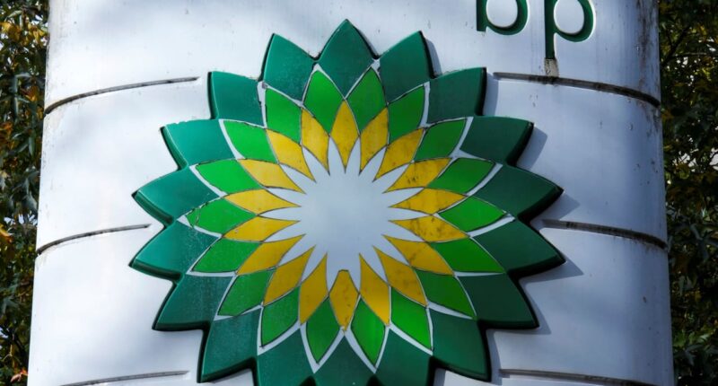 BP to halt stock buybacks as profit slumps