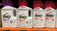 Bayer shares make this surprising move after $7.25 billion Roundup settlement accord