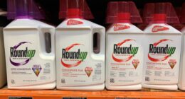 Bayer shares make this surprising move after $7.25 billion Roundup settlement accord
