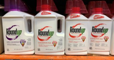 Bayer shares make this surprising move after $7.25 billion Roundup settlement accord