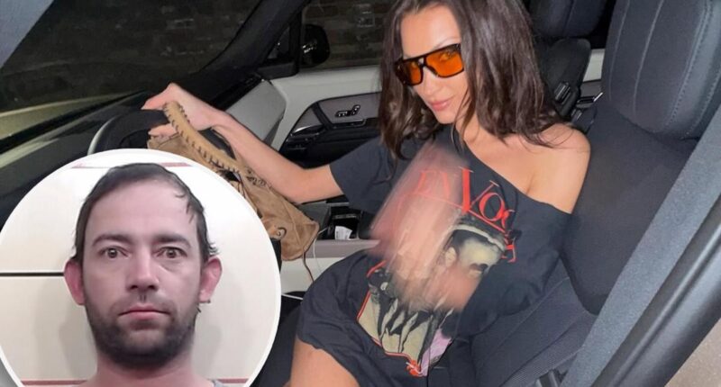 Bella Hadid pulled over by police before Adan Banuelos' arrest