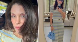 Bethenny Frankel says this Shark hair tool is 'better than a Dyson'