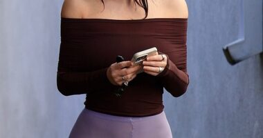 Bianca Censori, 31, donned very sheer tights in her latest daring fashion stunt as she stepped out for a lowkey outing in West Hollywood on Friday