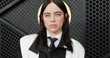 Billie Eilish Says ‘No One Is Illegal’ — But Her Gates Say Otherwise – RedState