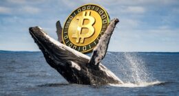 Bitcoin briefly tumbles below $75K, but these investors see a buying opportunity