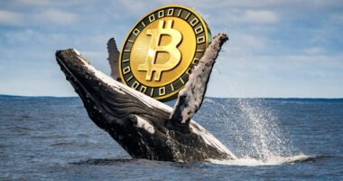 Bitcoin briefly tumbles below $75K, but these investors see a buying opportunity