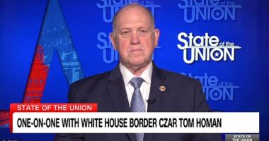 Border czar Tom Homan was forced to defend his agents wearing masks while on the job as he gloried in the hundreds of people removed during Minnesota's Metro Surge