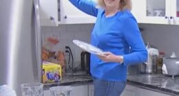 Lisa Hillenbrand, 68, welcomed a Haitian family into her Boston home in 2024. A clip of her life with them has since resurfaced online, causing an uproar on social media