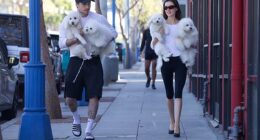 Brooklyn Beckhamand Nicola Peltz headed out with their family of pups on Tuesday, treating four of their pooches to an afternoon of grooming
