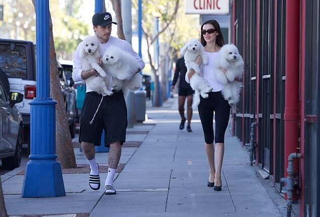Brooklyn Beckhamand Nicola Peltz headed out with their family of pups on Tuesday, treating four of their pooches to an afternoon of grooming