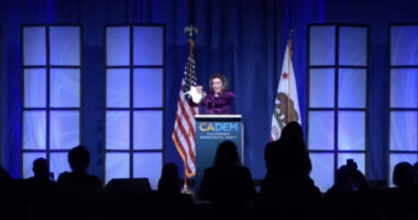 California Democrats Pile Out Of Clown Car At Their Convention