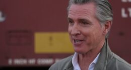 California Democrats accidentally hand Donald Trump a win with Gavin Newsom's new law about ICE agents