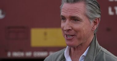 California Democrats accidentally hand Donald Trump a win with Gavin Newsom's new law about ICE agents