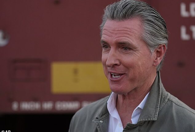 California Democrats accidentally hand Donald Trump a win with Gavin Newsom's new law about ICE agents